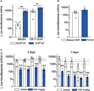 Advances in Preclinical Platforms of Loa loa for Filarial Neglected Tropical Disease Drug and Diagnostics Research